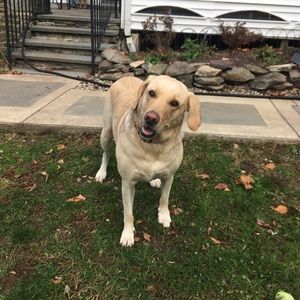 Meet your Posher, Carol